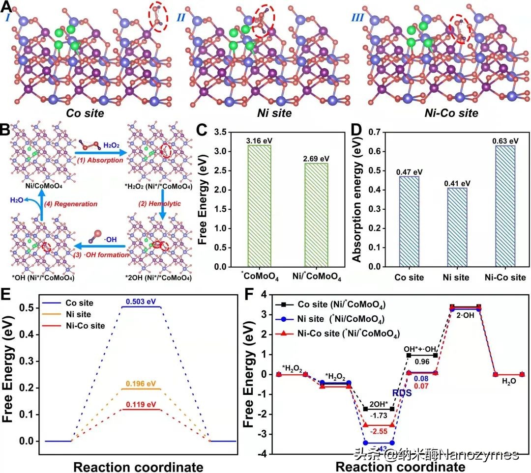 ACS Nano | 基于界面调控策略构建Ni-O-Co键智能生物传感器