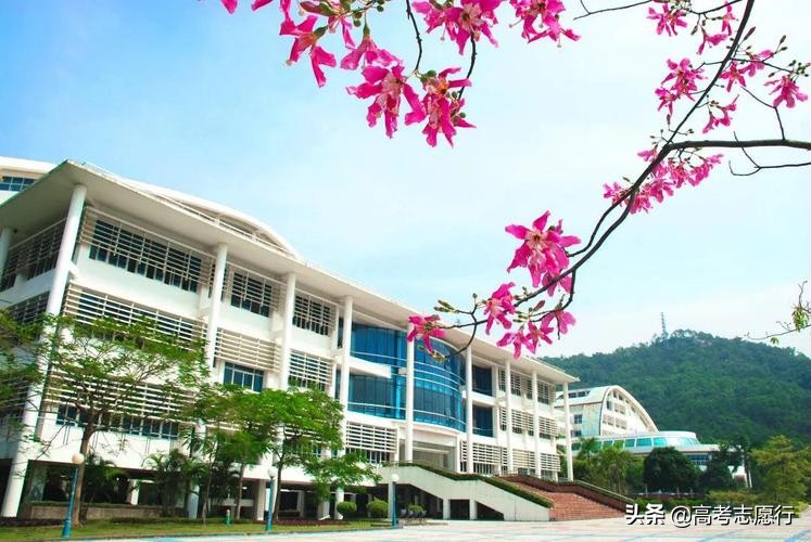 不远千里去求学，这所大学吸引力为什么这么大？归结为4个方面