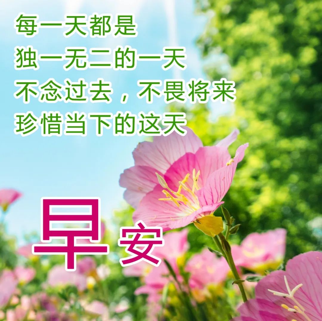 希望朋友理解自己的句子说说心情说说