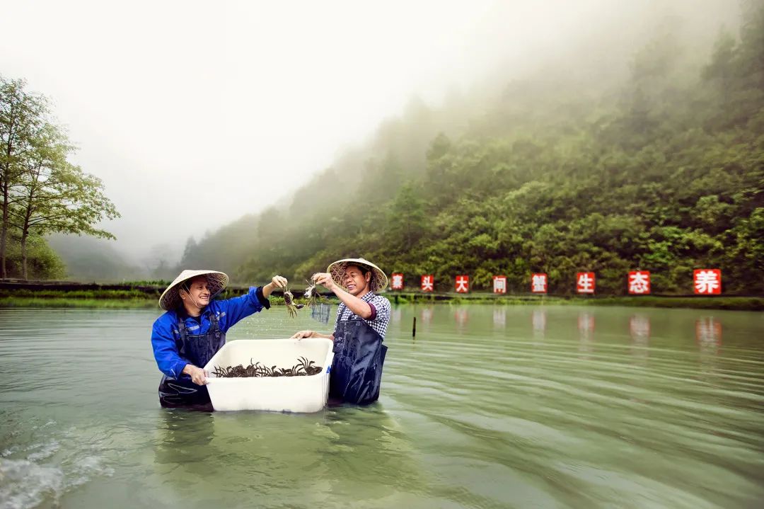 聚焦中央一号文件！解码乡村振兴的“华侨城模式