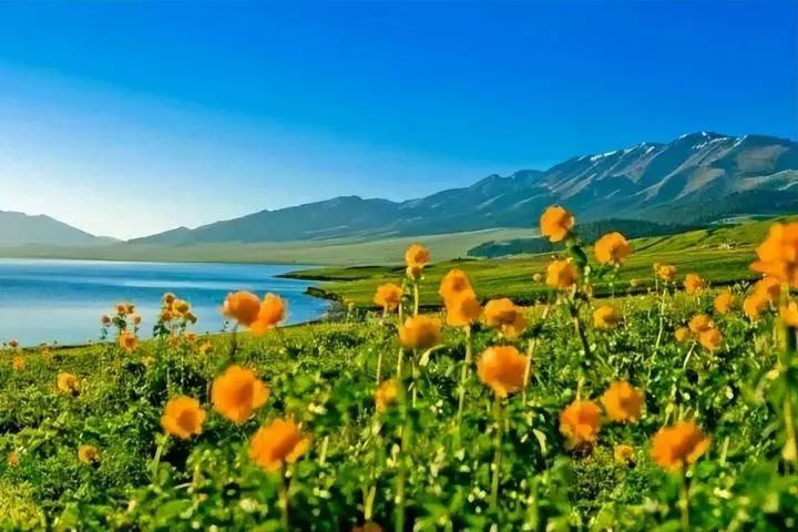 新疆春游都有哪些攻略分享？