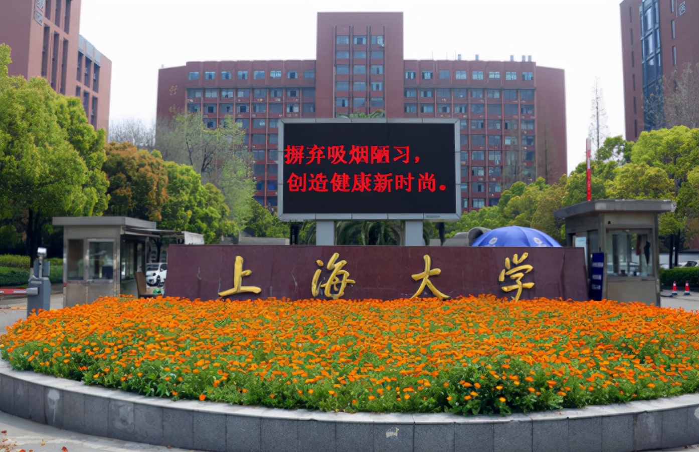 红色学府上海大学：