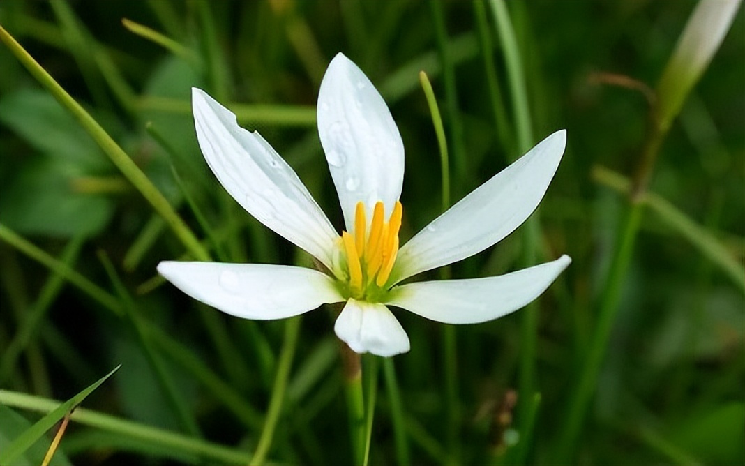 真正厉害的人，是能够“结交小人”的人