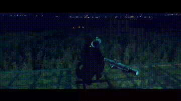 韩国电影《魔女2》上映了，希望有多大失望就有多大