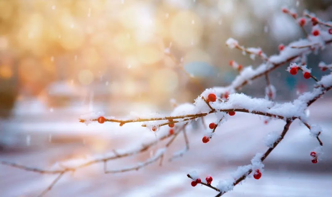 漫天飞雪的诗句（分享10首描写雪景的最美诗词）