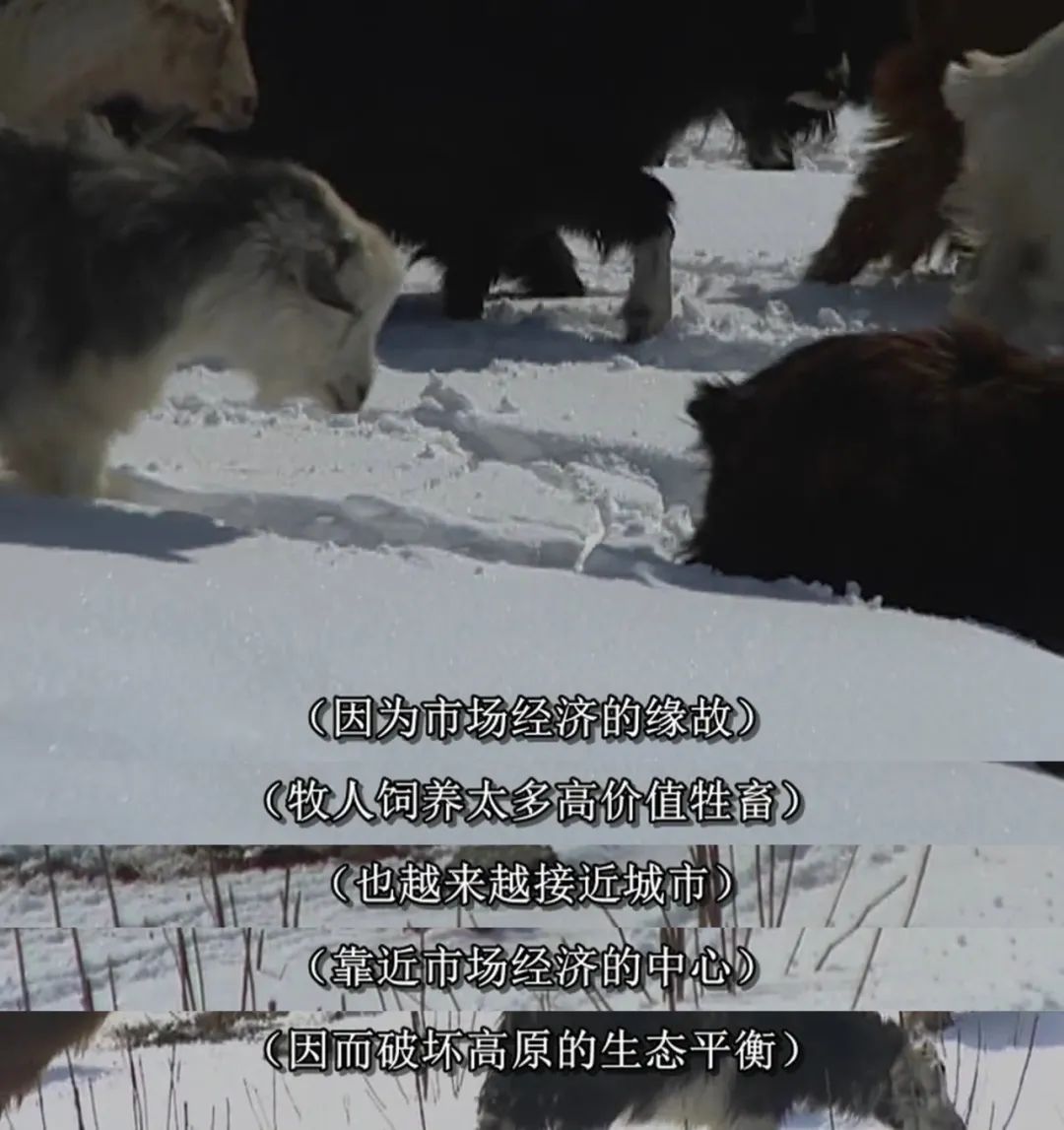 豆瓣9.7分，她的12年人生比《活着》还难，看完哭着打出5星