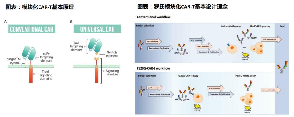 信达生物研发技术平台梳理