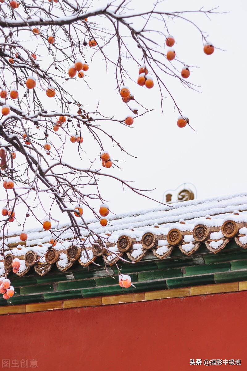 怎么拍雪景？一共5个摄影技巧，相机参数一定先设置好