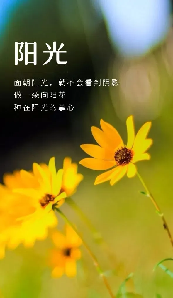01.19」早安心语,正能量最新语录句子,暖心的早上好图片