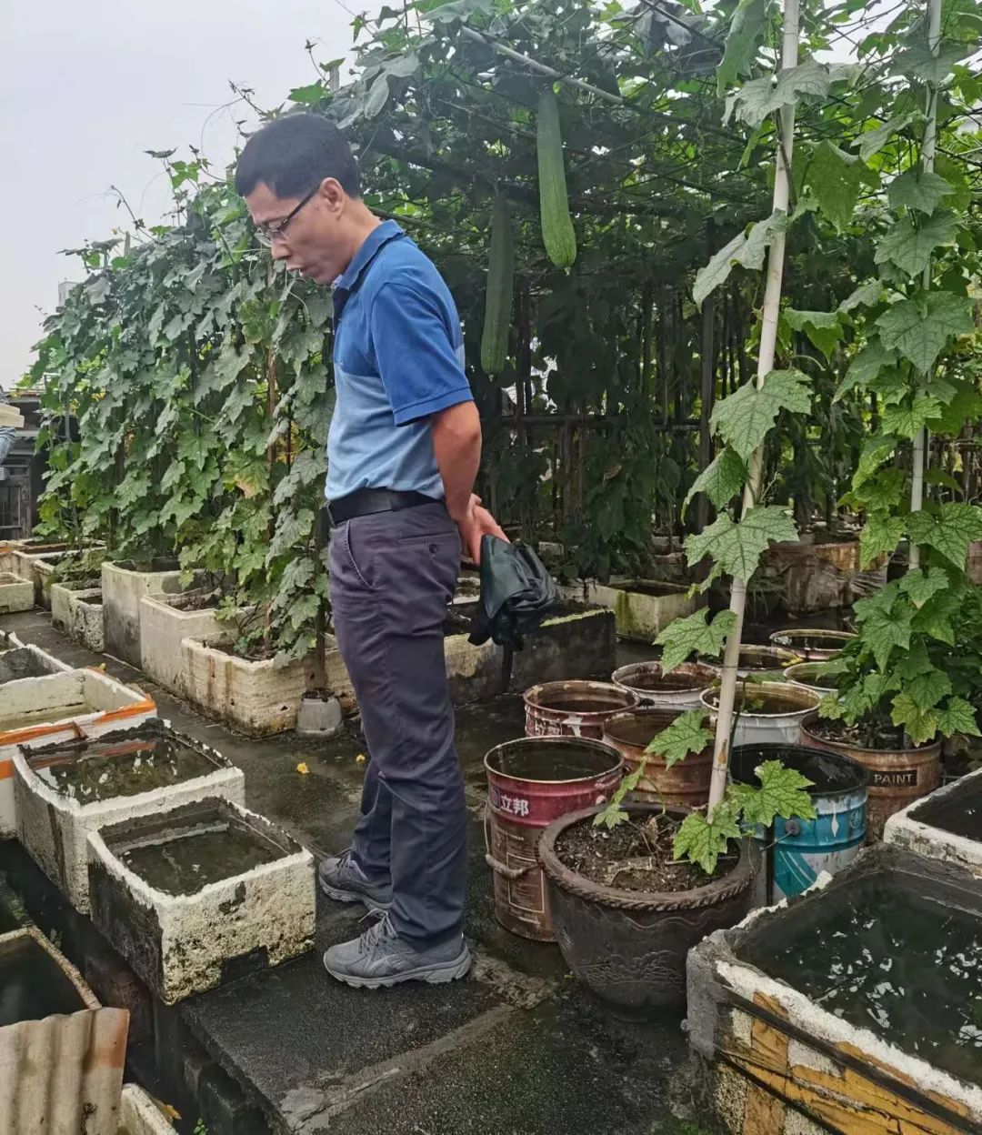 漳州市市场监管局全员发动助力创城攻坚