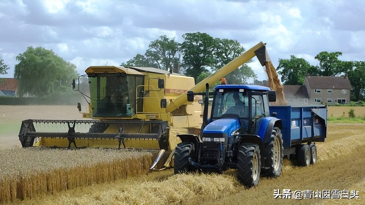 容易赔了夫人又折兵！盘点9个被网红带偏的农村创业项目