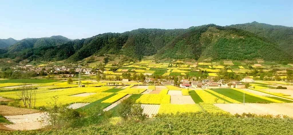 甘肅省禮縣有什麼好玩的地方?_巧兔教學