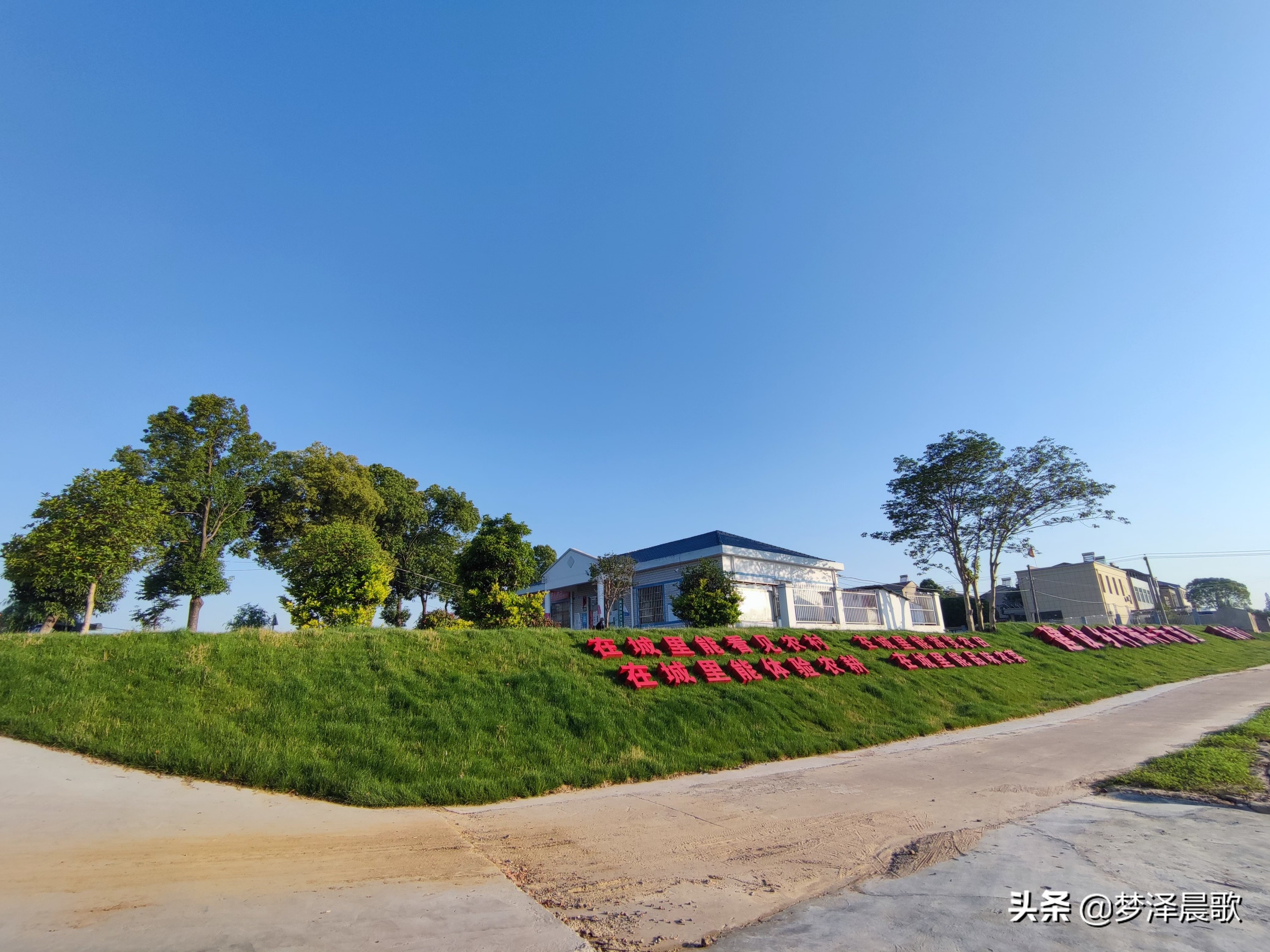 乡村道路颜值高通村道路建成景观道