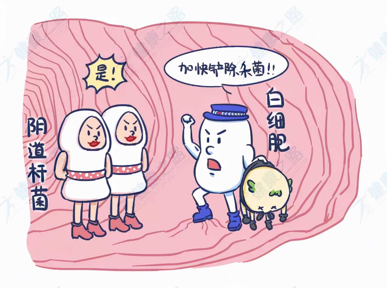 为什么有炎症，医生却说正常？白带常规到底要怎么看？