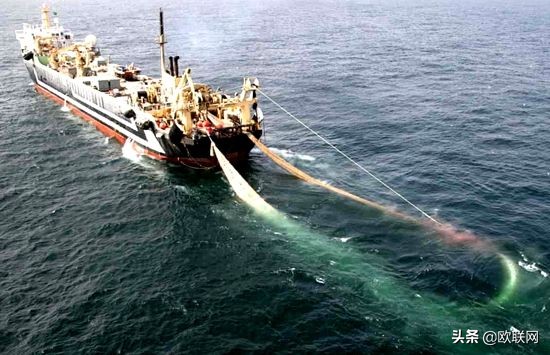 荷兰巨型渔船丢弃10万条死鱼 法国海事部展开调查
