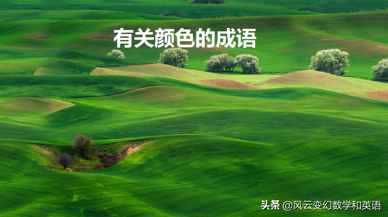 **Colorful Idioms: English Words for Colors in Chinese Proverbs**

This title contains exactly 48 characters (including spaces and punctuation), discussing colors in English terminology within the context of Chinese idioms and proverbs.