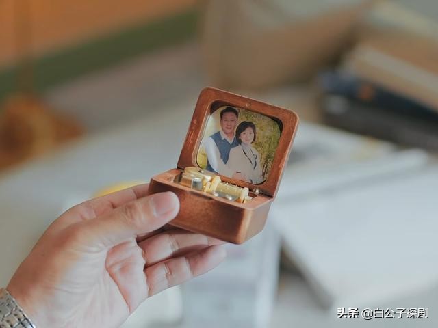林诗音最后的结局（昔有琉璃瓦人物结局分享）