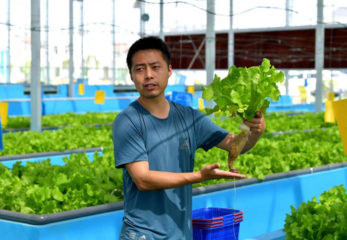 “魚菜共生”生態(tài)循環(huán)種養(yǎng)殖助力蔡甸綠色農業(yè)高質量發(fā)展