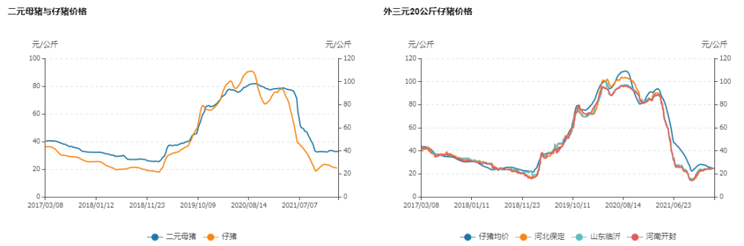 牛钱生猪日报2022.3.8