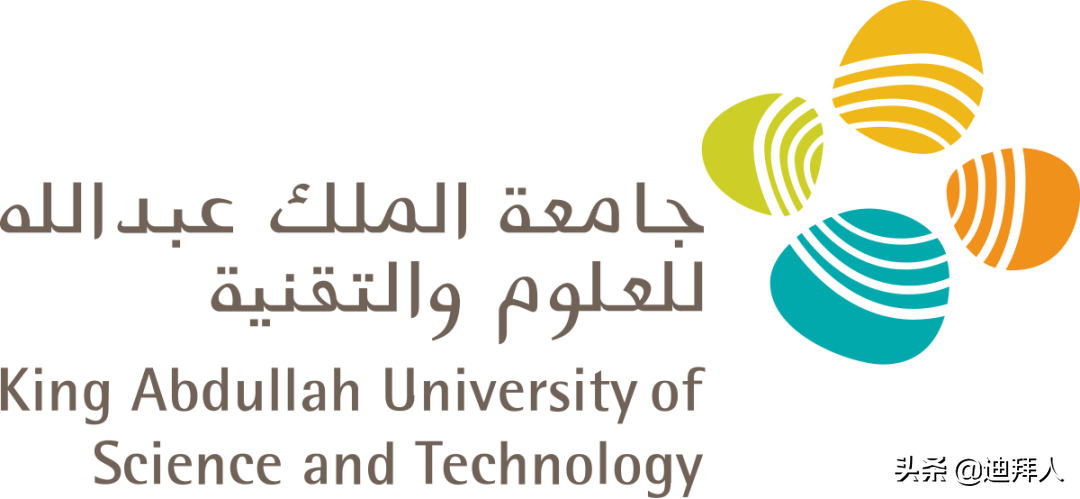 不要再说沙特没文化了！中东最好(壕)的两所大学都在沙特