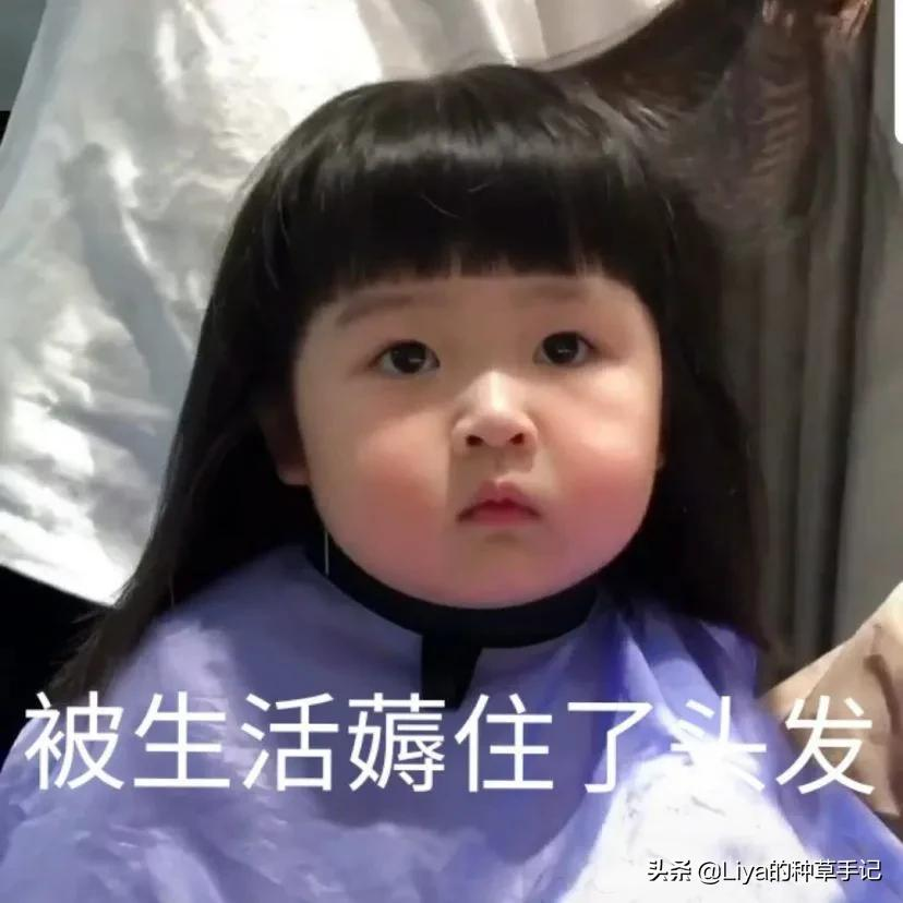 为什么女生每年年底总要烫一次头发?