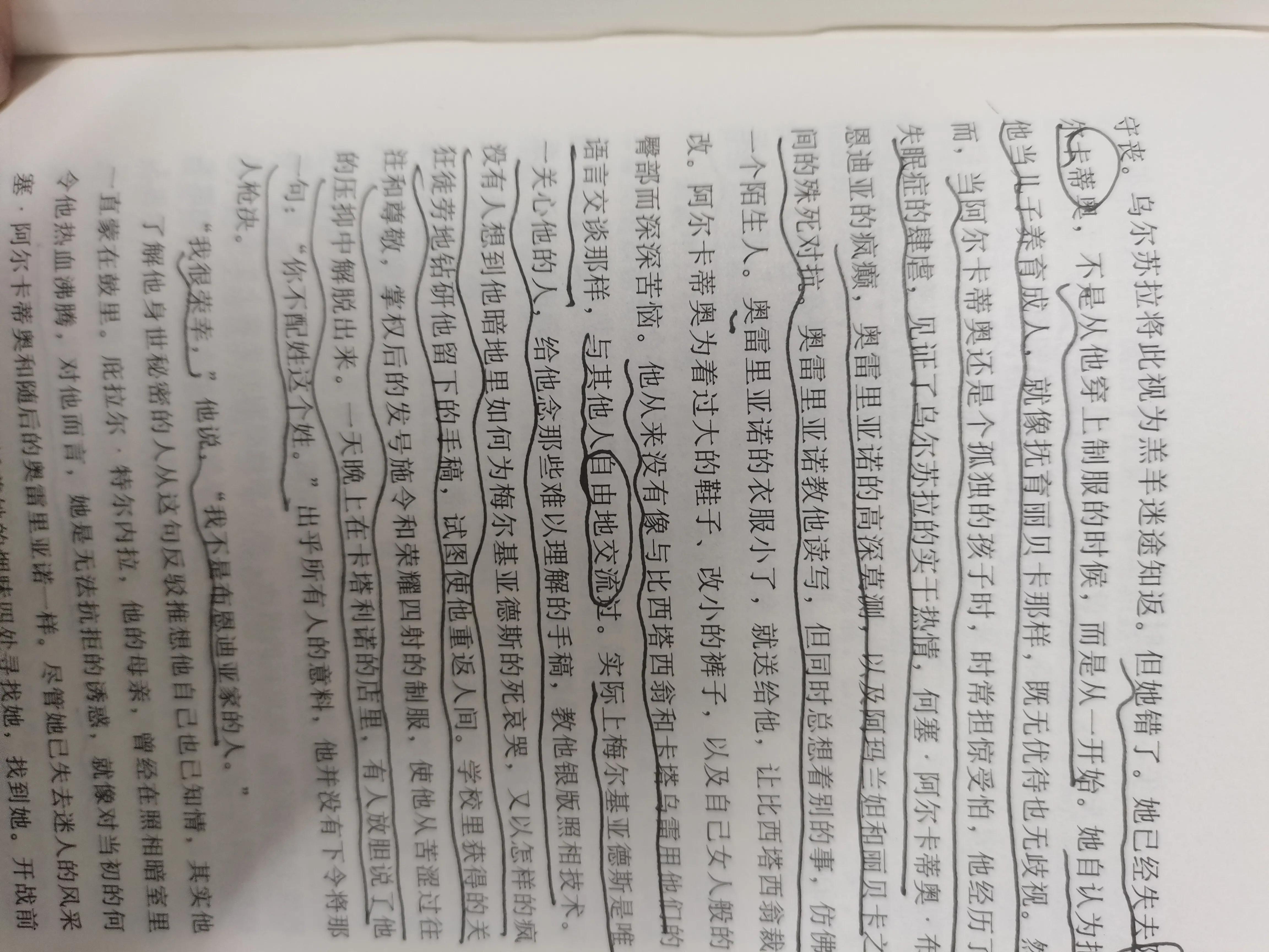 《百年孤独》观后感——生命从来不曾离开孤独而单独存在