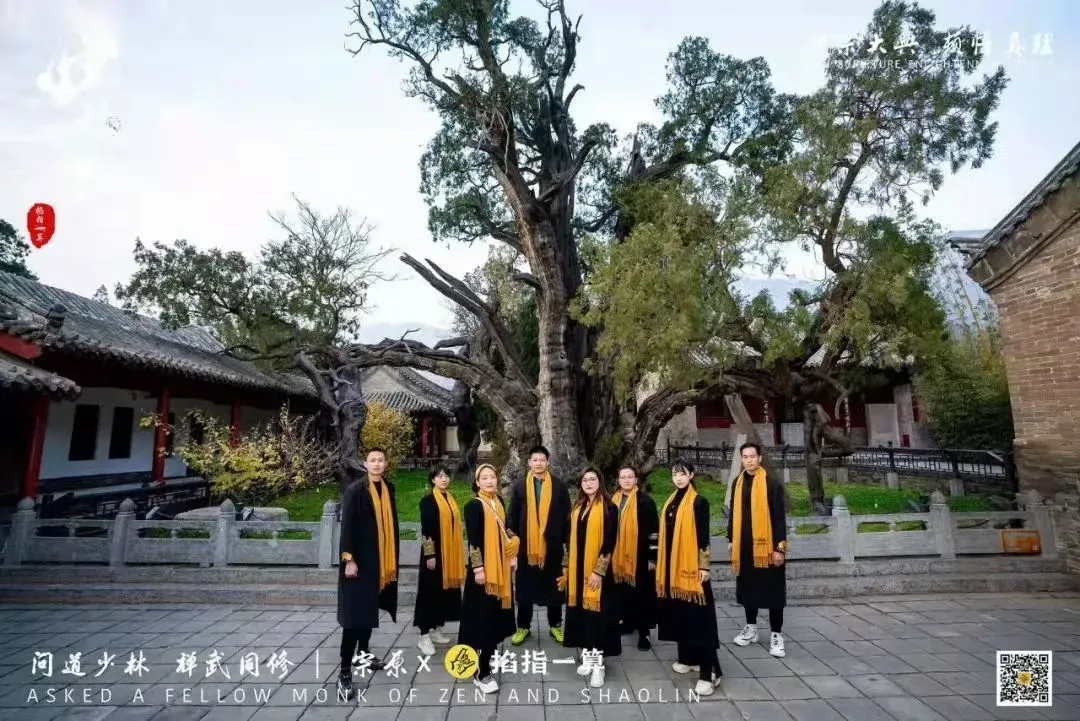 儒道篇 | 侯宗原带你探访嵩山隐匿的书香古迹，3000年古柏震撼人心