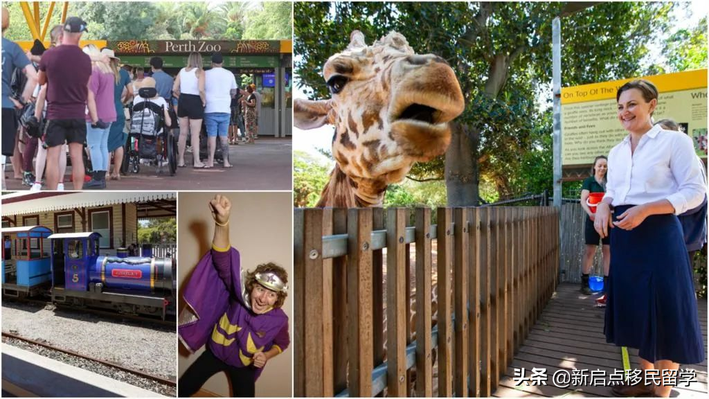 5月1起，澳洲开售这款新冠特效药！仅$6.8！可降低88%死亡率