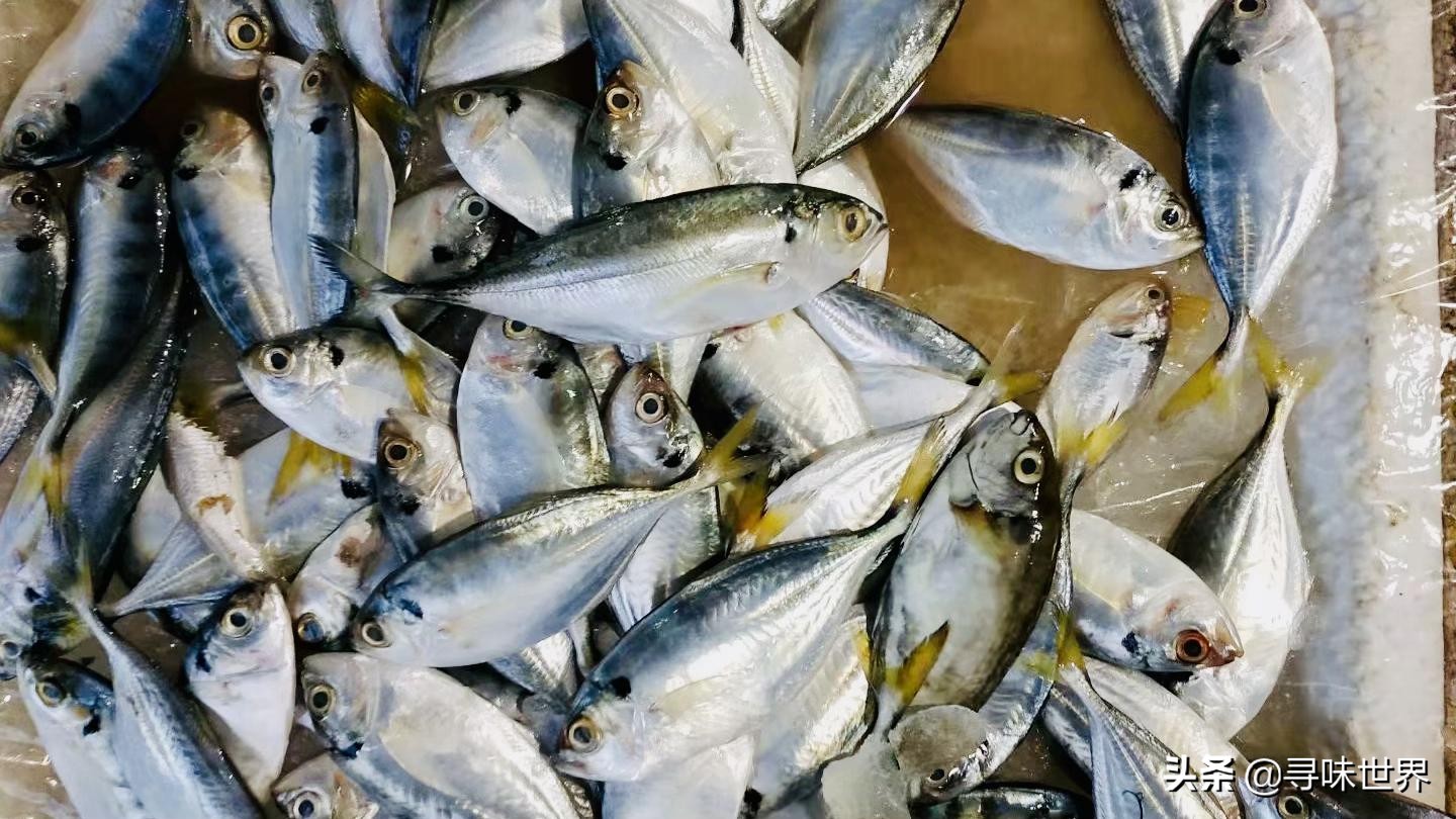 春夏季海魚9大排名來了,都是優質的海魚品種,貴點也值得品味