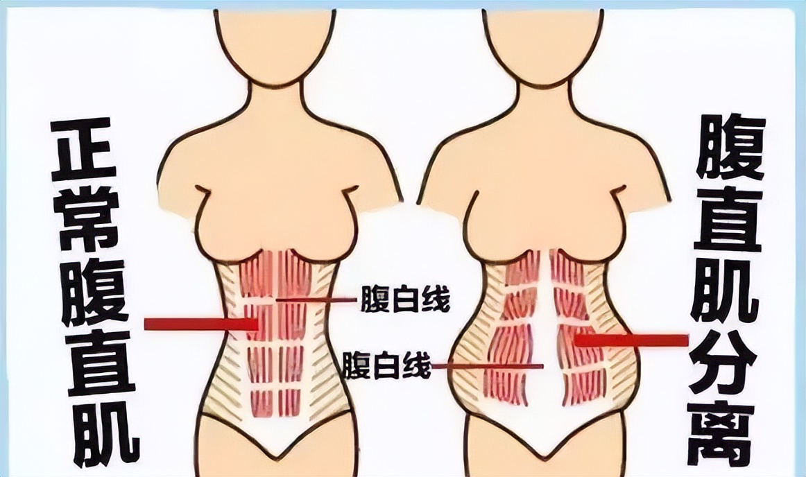 生育前后子宫大小差别多大?一张图帮你明白,产后恢复不会那么快