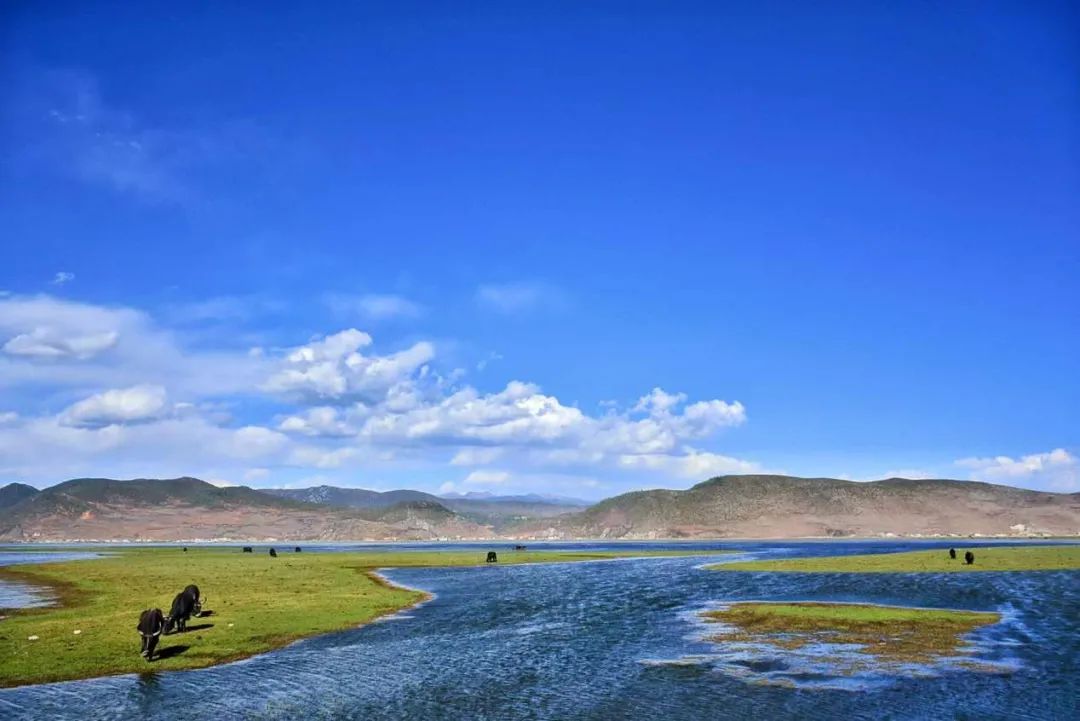 颠覆外省人对云南认知的几大景区，不以自然风光出名，知道是哪吗