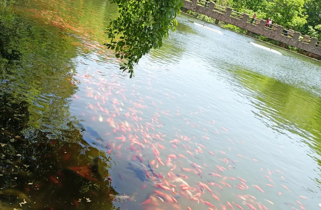 甲友心声——因你~因爱~感谢我生命中的你们