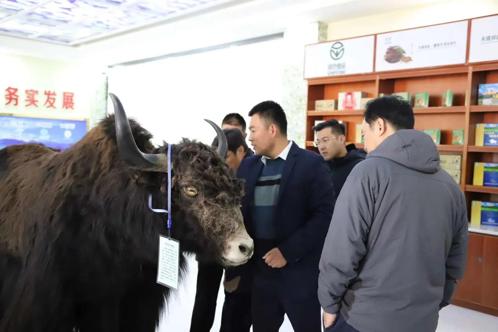 青海祁连亿达畜产肉食品有限公司简介