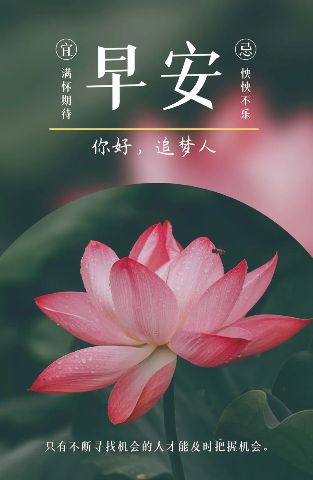 不怕苦不怕累的句子(2022) - 火句子