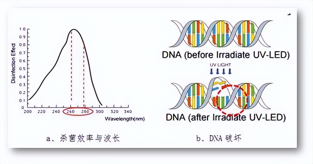 光知识讲堂 | 什么是LED？不同LED波段有什么不同？