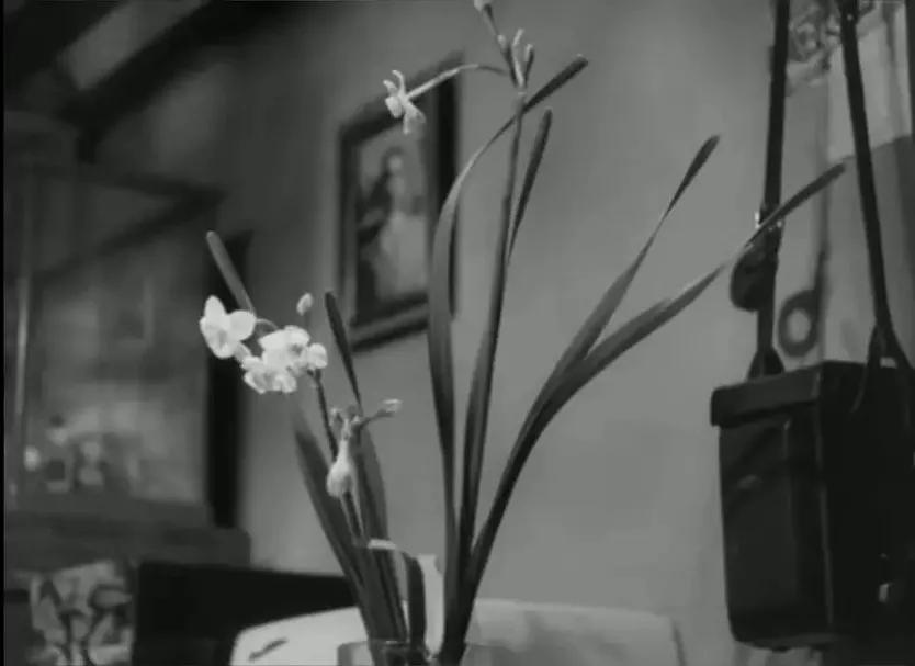 世界电影（0128）日本电影《正是为了爱》（1955）剧照欣赏