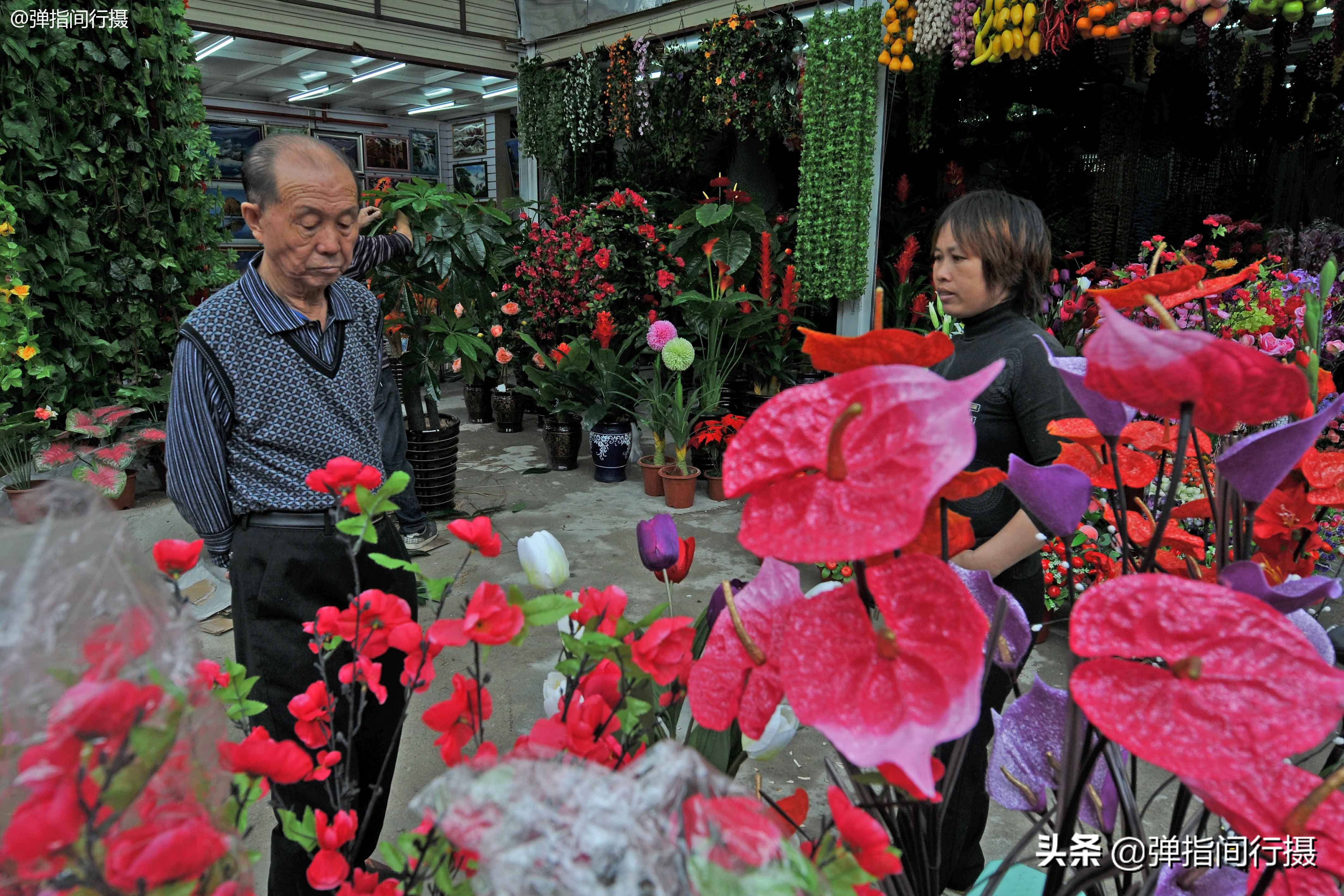 在海口人民公园东湖一带,每年都有迎春花市和万春会主题花灯展,能让你