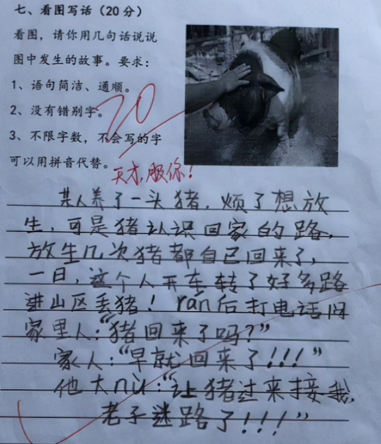 小学神童妙笔生花，作文惊艳网络走红