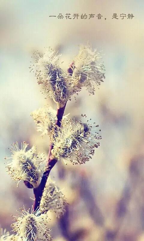 暖心正能量的句子，激励积极向上，好好生活