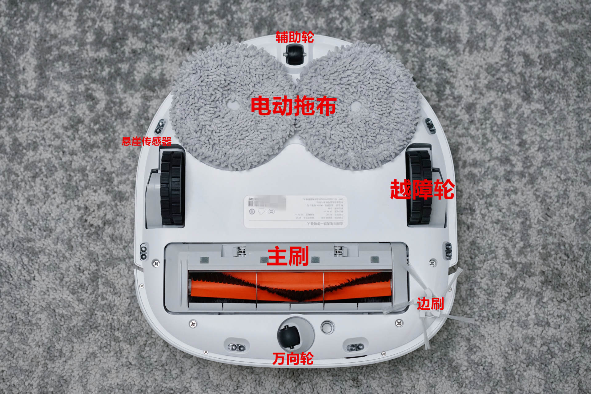 拒绝云评！科沃斯、云鲸、追觅、石头，自动洗拖布机器人怎么选？