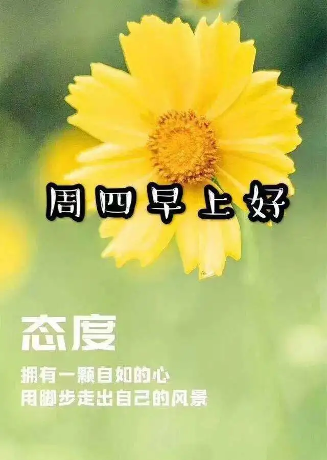 早安吉祥：花开无语，芳华烁烁；花落无言，余香阵阵，早安