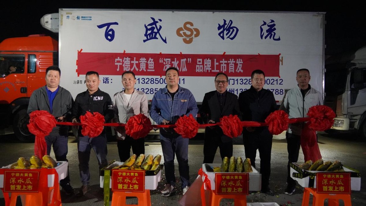 国鱼复兴丨宁德大黄鱼“深水瓜”品牌首发圆满落地