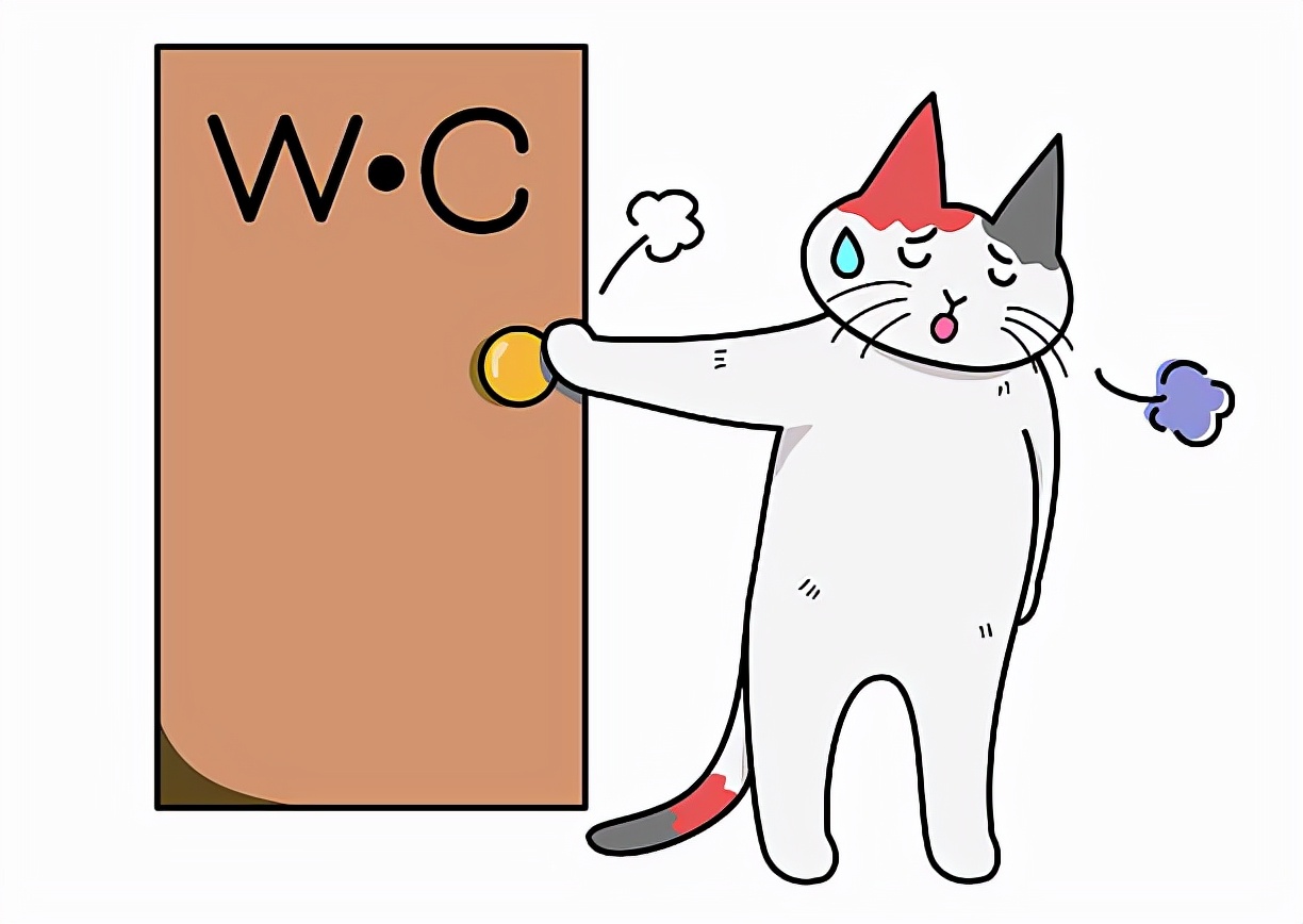 猫咪拉肚子怎么办？居家治疗都有哪些方法