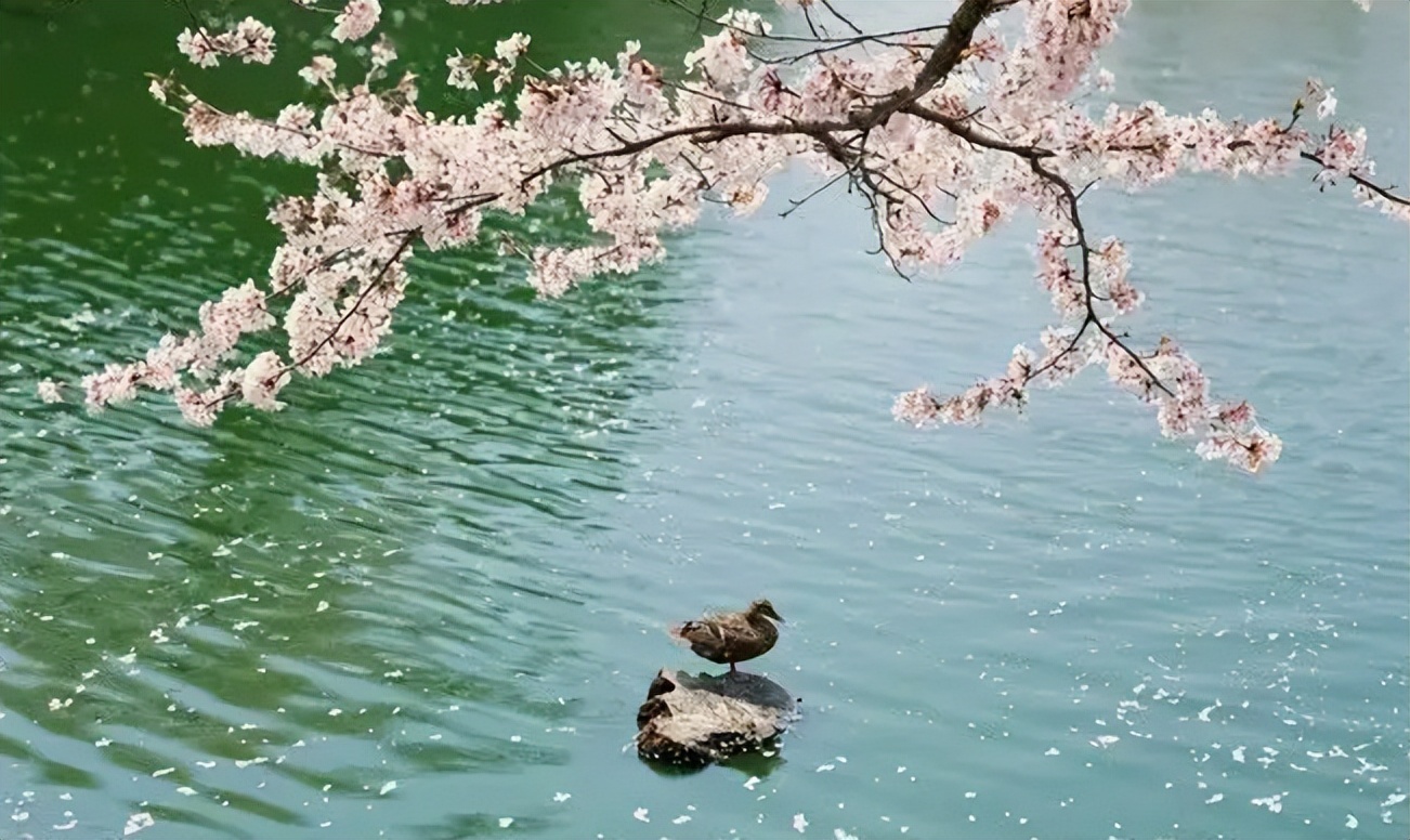 「原创诗词」管恩锋 | 水墨迎春千古景 枝头露出一团红（咏春17首）