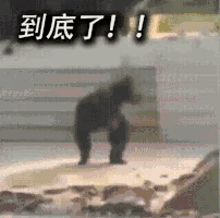 一個月降庫3.46萬噸，是什么拯救了不銹鋼貿易商？