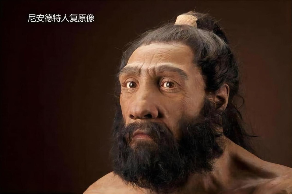 现代人类为何失去了丁丁骨？灵长类都有的骨头，消失是好是坏？