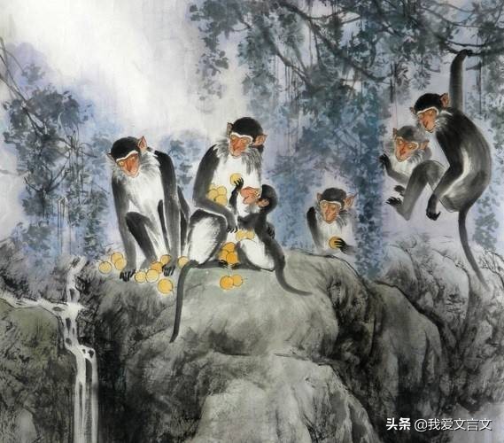 经典文言文赏析 | 楚人养狙