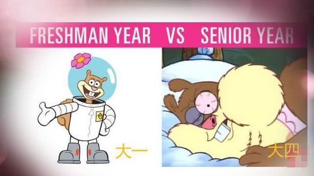 “行动能力逐渐退化”，大学生用梗图吐槽4年变化，简直人间真实