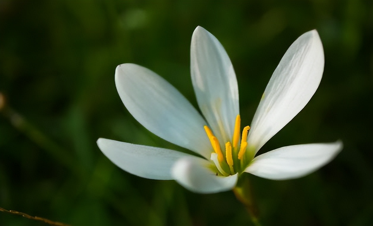 真正厉害的人，是能够“结交小人”的人
