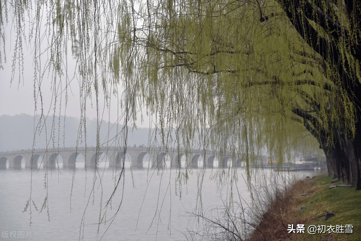 早春春雨春水古诗四首：春雨晴时春水生，有几梅花更晚风